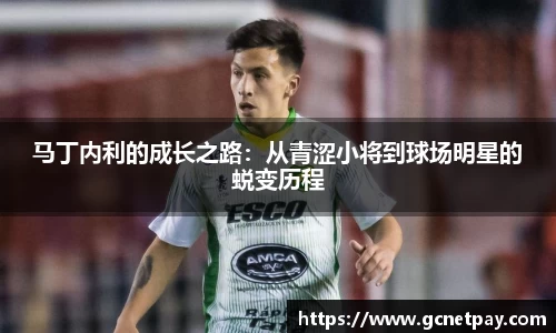 马丁内利的成长之路：从青涩小将到球场明星的蜕变历程