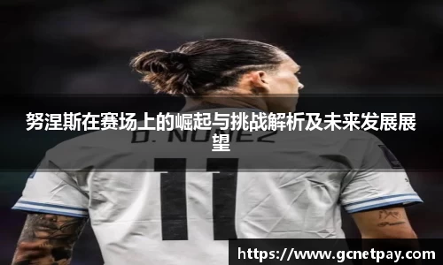 努涅斯在赛场上的崛起与挑战解析及未来发展展望